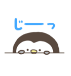 こつぶぺんぎん。（個別スタンプ：23）