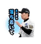 阪神タイガース 2025公式スタンプ（個別スタンプ：1）