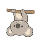 コアラ狂想曲（個別スタンプ：1）
