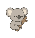 コアラ狂想曲（個別スタンプ：2）
