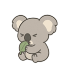 コアラ狂想曲（個別スタンプ：4）