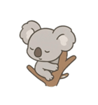 コアラ狂想曲（個別スタンプ：14）
