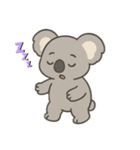 コアラ狂想曲（個別スタンプ：15）