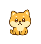柴犬 日常気分（個別スタンプ：24）