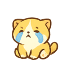 プリンねこPuddingのほわほわ日常（個別スタンプ：11）