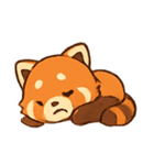 レッサーパンダキュート（個別スタンプ：10）