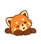 レッサーパンダキュート（個別スタンプ：18）
