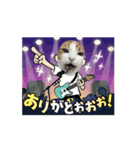 動く！柴犬と猫⑨（個別スタンプ：4）