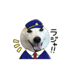 動く！柴犬と猫⑨（個別スタンプ：9）