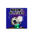 動くビーグル犬(夏2)（個別スタンプ：2）