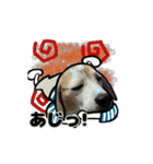 動くビーグル犬(夏2)（個別スタンプ：3）