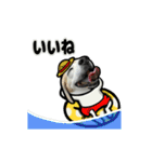 動くビーグル犬(夏2)（個別スタンプ：14）