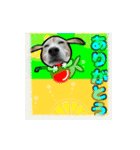 動くビーグル犬(夏2)（個別スタンプ：15）