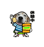 動くビーグル犬(夏2)（個別スタンプ：16）