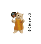 お猫様の吹き出しスタンプ8（個別スタンプ：1）