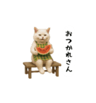 お猫様の吹き出しスタンプ8（個別スタンプ：2）