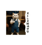 お猫様の吹き出しスタンプ8（個別スタンプ：12）