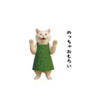 お猫様の吹き出しスタンプ8（個別スタンプ：13）