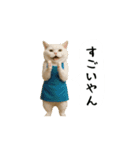 お猫様の吹き出しスタンプ8（個別スタンプ：14）