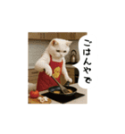 お猫様の吹き出しスタンプ8（個別スタンプ：15）