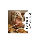 お猫様の吹き出しスタンプ8（個別スタンプ：16）