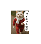 お猫様の吹き出しスタンプ8（個別スタンプ：17）