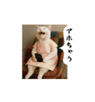 お猫様の吹き出しスタンプ8（個別スタンプ：18）