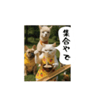 お猫様の吹き出しスタンプ8（個別スタンプ：19）