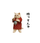 お猫様の吹き出しスタンプ8（個別スタンプ：20）