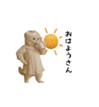 お猫様の吹き出しスタンプ8（個別スタンプ：21）