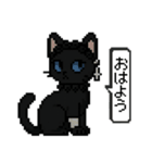 ダーク猫ドットスタンプ（個別スタンプ：2）