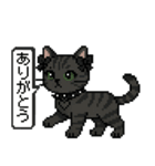 ダーク猫ドットスタンプ（個別スタンプ：6）