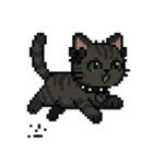 ダーク猫ドットスタンプ（個別スタンプ：7）