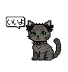 ダーク猫ドットスタンプ（個別スタンプ：8）