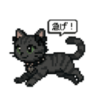 ダーク猫ドットスタンプ（個別スタンプ：12）