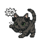 ダーク猫ドットスタンプ（個別スタンプ：14）