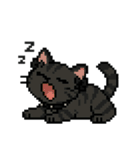 ダーク猫ドットスタンプ（個別スタンプ：26）