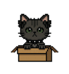 ダーク猫ドットスタンプ（個別スタンプ：29）