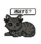 ダーク猫ドットスタンプ（個別スタンプ：31）