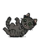ダーク猫ドットスタンプ（個別スタンプ：33）