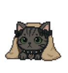 ダーク猫ドットスタンプ（個別スタンプ：34）