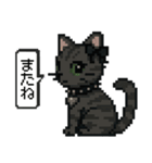 ダーク猫ドットスタンプ（個別スタンプ：40）