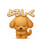 ふわもこトイプードル 3D文字で毎日会話（個別スタンプ：6）