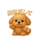 ふわもこトイプードル 3D文字で毎日会話（個別スタンプ：13）