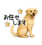 ラブラドールレトリバー★即返事！に使える（個別スタンプ：20）