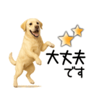 ラブラドールレトリバー★即返事！に使える（個別スタンプ：21）