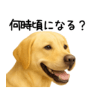 ラブラドールレトリバー★家族連絡・恋人（個別スタンプ：2）