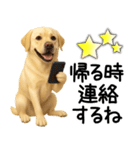 ラブラドールレトリバー★家族連絡・恋人（個別スタンプ：3）