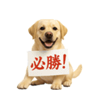 ラブラドールレトリバー★家族連絡・恋人（個別スタンプ：26）