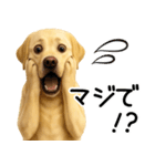 ラブラドールレトリバー★家族連絡・恋人（個別スタンプ：29）